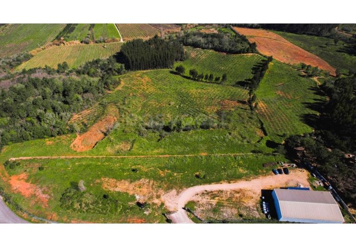 Terra a Maiorga, Leiria, Maiorga - € 155.000 | Ref: LE97049NZ - foto 1