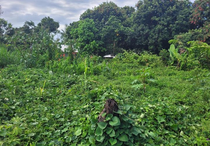 Helårsgrund i Saint-Andre, La Reunion, Saint-Andre - € 119.000 | Ref: 6469YD - foto 1
