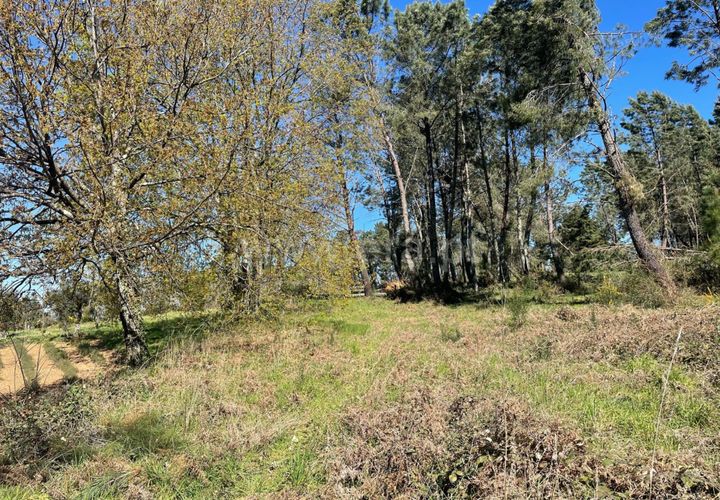 Helårsgrund i Seia, Guarda, Seia - € 75.000 | Ref: 382250037 - foto 1