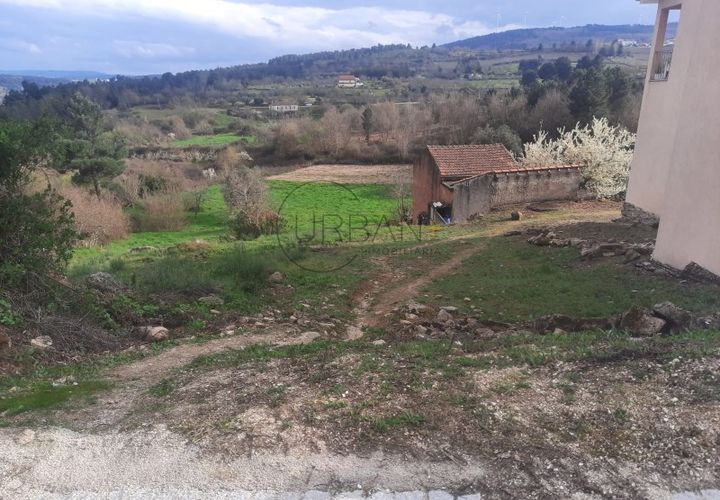 Terra a Moimenta da Beira, Viseu, Moimenta da Beira - € 30.000 | Ref: 0118 - foto 1