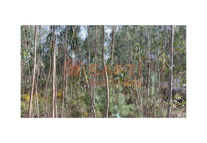 Helårsgrund i Tondela, Viseu, Tondela - € 40.000 | Ref: SAFTI:006599 - foto 1