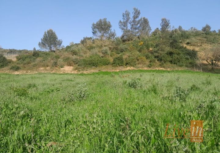 Helårsgrund i Alenquer, Lisbon, Alenquer - € 40.000 | Ref: 9603MV - foto 1