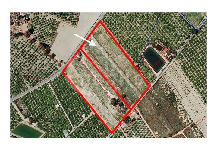 Terra a Rojales, Alicante, Rojales - € 125.000 | Ref: SO-172206 - foto 1