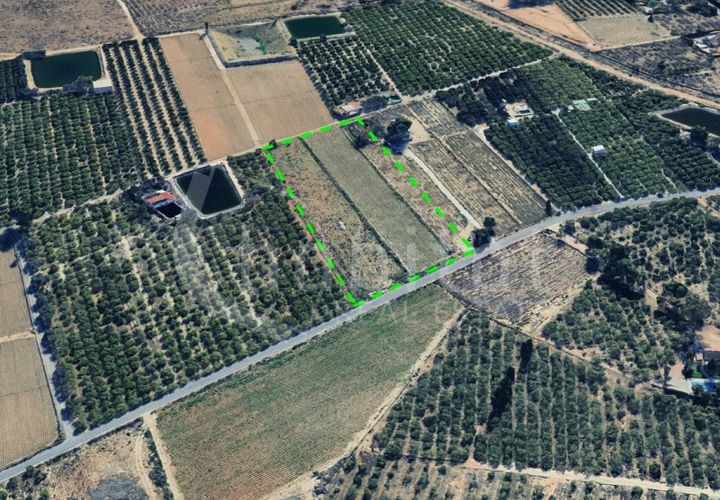 Grond in Rojales, Alicante, Rojales - € 125.000 | Ref: SO-172206 - foto 1