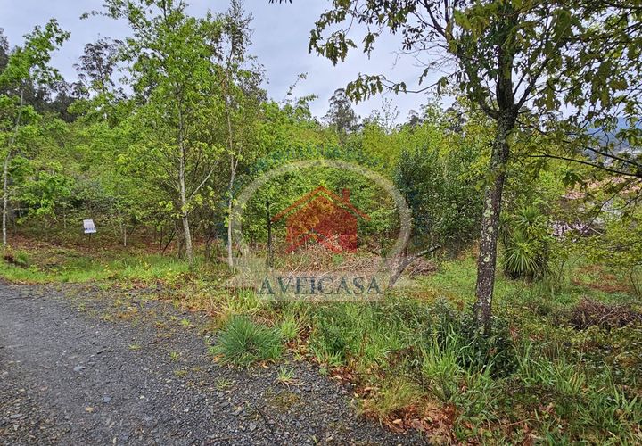 Helårsgrund i Sever do Vouga, Aveiro, Sever do Vouga - € 20.000 | Ref: 21119 - foto 1
