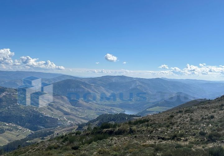 Terra a Sabrosa, Vila Real, Sabrosa - € 450.000 | Ref: TER_1393 - foto 1