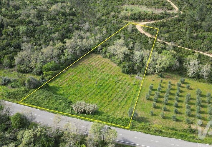 Terra a Penela, Coimbra, Penela - € 10.000 | Ref: 140521 - foto 1