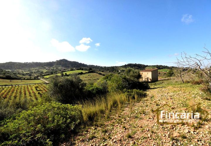 Landejendom i Son Macia, Mallorca, Son Macia - € 275.000 | Ref: FSM-2004 - foto 1