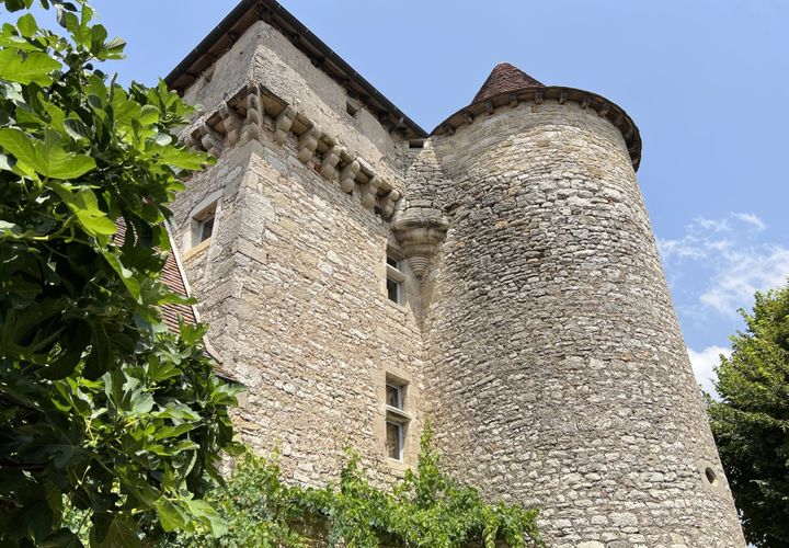 Villa a Ambeyrac, Aveyron, Ambeyrac - € 899.000 | Ref: BVI75468 - foto 1