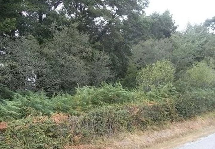 Helårsgrund i Cromac, Haute-Vienne, Cromac - € 19.000 | Ref: BVI71775 - foto 1