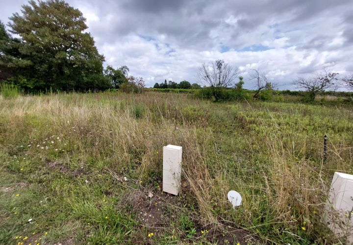 Terra a Jonzac, Charente-Maritime, Jonzac - € 57.000 | Ref: BVI71752 - foto 1