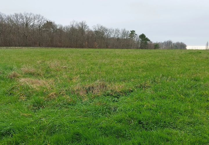 Terra a Sainte-Colombe, Charente-Maritime, Sainte-Colombe - € 51.000 | Ref: BVI74377 - foto 1