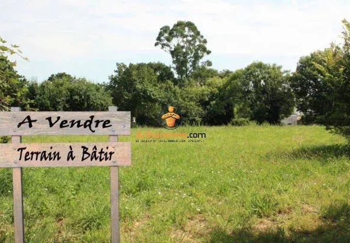 Terra a Odos, Hautes-Pyrenees, Odos - € 212.000 | Ref: 85797635 - foto 1
