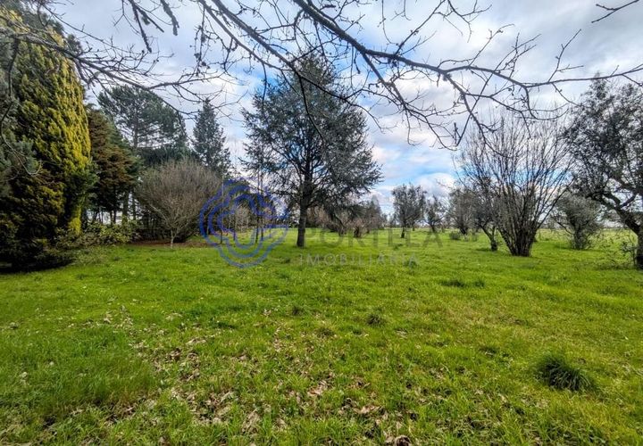 Helårsgrund i Viseu, Viseu, Viseu - € 200.000 | Ref: 199251 - foto 1
