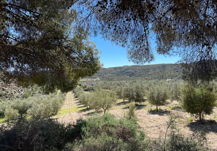 Terra a Sorbas, Almeria, Sorbas - € 85.000 | Ref: SOR127 - foto 1