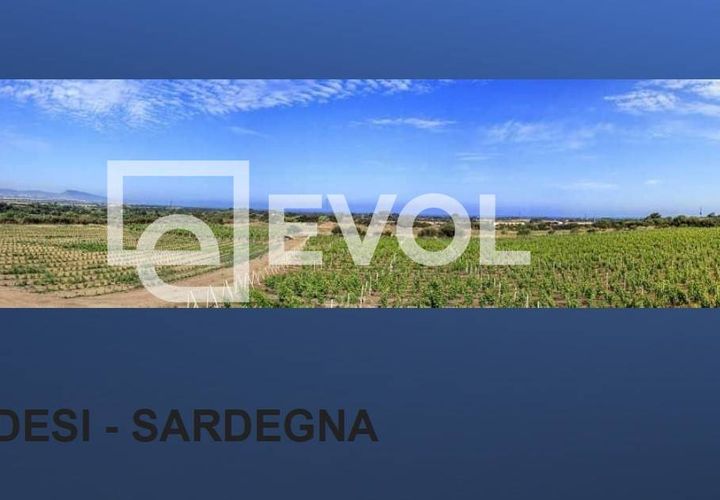 Helårsgrund i Badesi, Olbia Tempio, Badesi - € 1.800.000 | Ref: 97 - foto 1