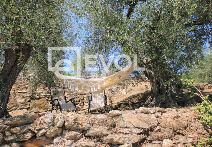 Farm i Pisa, Pisa, Pisa - € 2.000.000 | Ref: 126 - foto 1