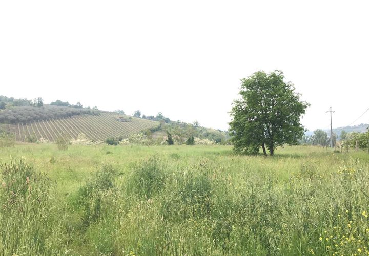 Helårsgrund i Benevento, Benevento, Benevento - € 60.000 | Ref: AA33350 - foto 1