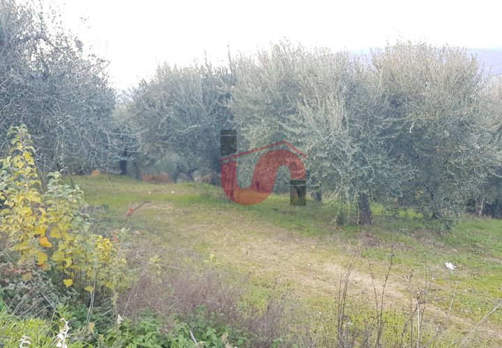Helårsgrund i Benevento, Benevento, Benevento - € 22.000 | Ref: AA37585 - foto 1