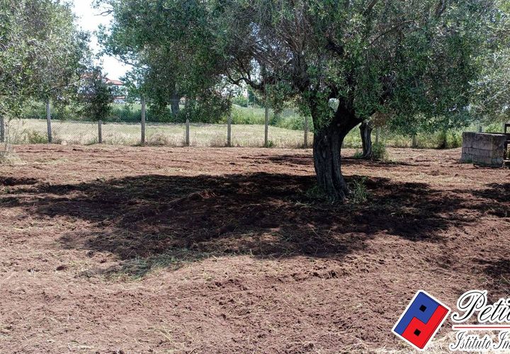 Helårsgrund i Fondi, Latina, Fondi - € 18.000 | Ref: TR73 - foto 1
