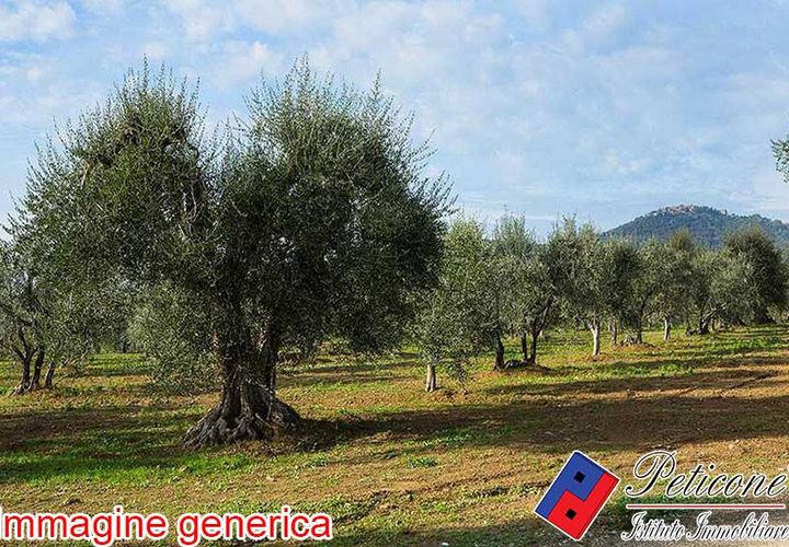 Helårsgrund i Fondi, Latina, Fondi - € 55.000 | Ref: TR76 - foto 1