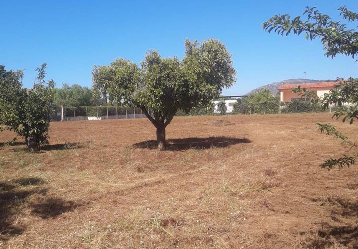 Helårsgrund i Fondi, Latina, Fondi - € 79.000 | Ref: TR92 - foto 1