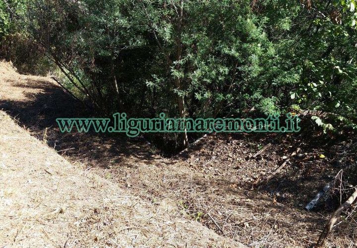Helårsgrund i Savona, Savona, Savona - € 20.000 | Ref: 1156 - foto 1
