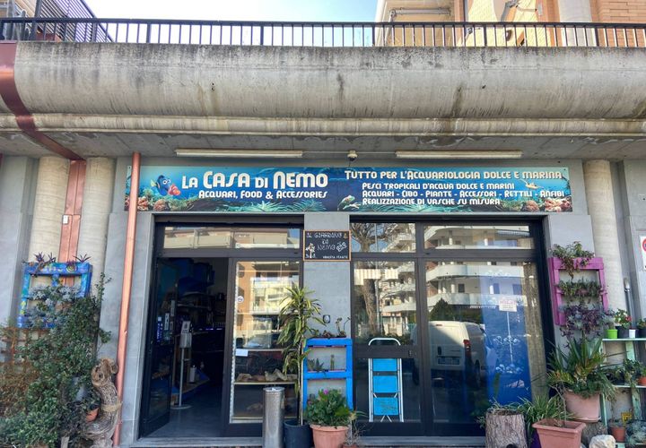 Erhvervsejendom i Vasto, Chieti, Vasto - € 113.000 | Ref: 5209 - foto 1