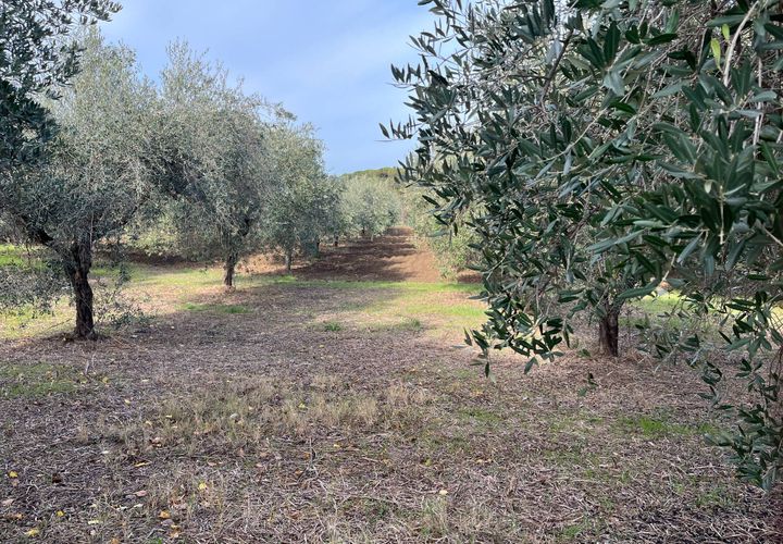 Helårsgrund i Vasto, Chieti, Vasto - € 90.000 | Ref: 5267 - foto 1