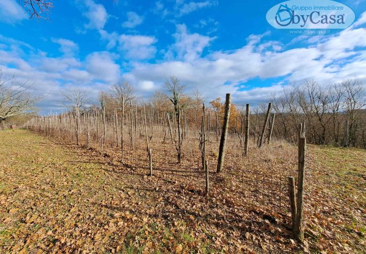Helårsgrund i Oriolo Romano, Viterbo, Oriolo Romano - € 25.000 | Ref: Oriolo 25.000 - foto 1