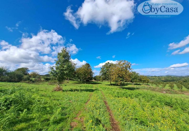 Tomt i Oriolo Romano, Viterbo, Oriolo Romano - € 23 000 | Ref: Oriolo 23.000 - foto 1