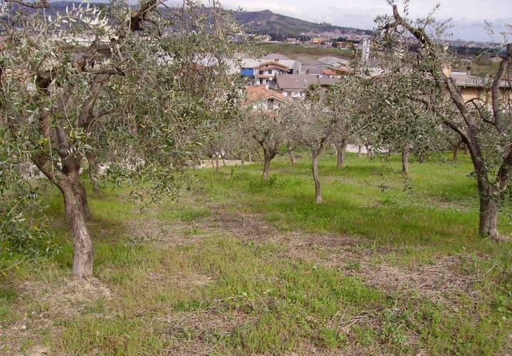 Helårsgrund i Colonnella, Teramo, Colonnella - € 110.000 | Ref: ter1328 - foto 1
