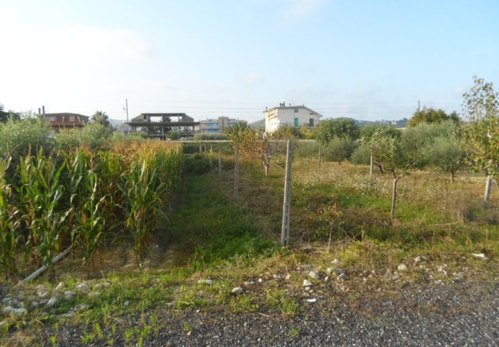 Helårsgrund i Monteprandone, Ascoli Piceno, Monteprandone - € 120.000 | Ref: ter294 - foto 1