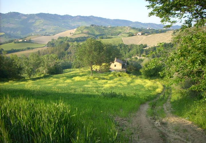 Herregård i Ripatransone, Ascoli Piceno, Ripatransone - € 65 000 | Ref: cas8 - foto 1