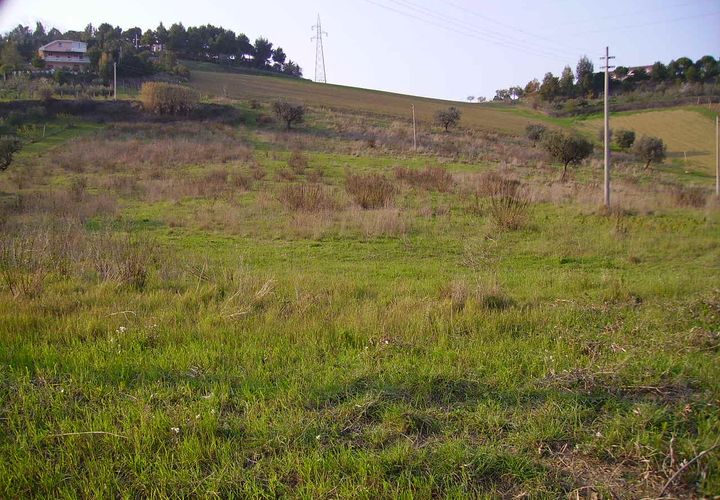 Helårsgrund i Monteprandone, Ascoli Piceno, Monteprandone - € 55.000 | Ref: ter174 - foto 1