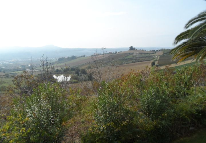 Helårsgrund i Monteprandone, Ascoli Piceno, Monteprandone - € 90.000 | Ref: ter5 - foto 1
