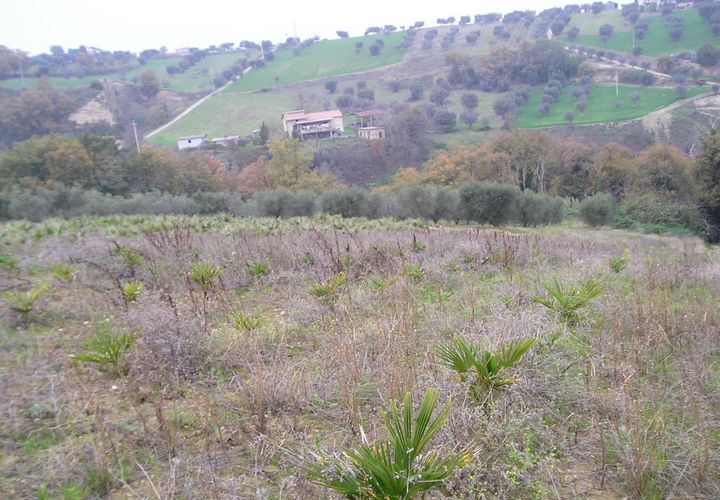 Villa i Grottammare, Ascoli Piceno, Grottammare - € 400 000 | Ref: Cas3330 - foto 1