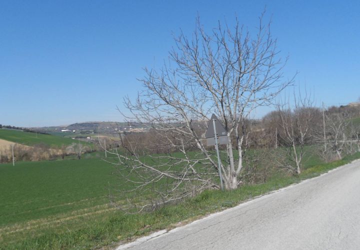 Helårsgrund i Fermo, Fermo, Fermo - € 350.000 | Ref: ter133 - foto 1