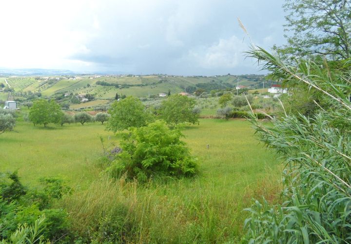 Helårsgrund i Colonnella, Teramo, Colonnella - € 105.000 | Ref: ter14 - foto 1