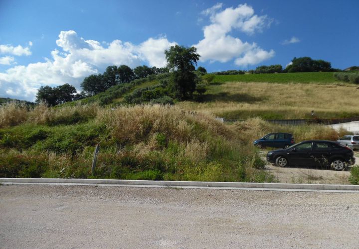 Terrain - Offida, Ascoli Piceno, Offida - € 70 000 | Réf : ter1010 - photo 1