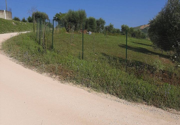Terra a Ripatransone, Ascoli Piceno, Ripatransone - € 26.000 | Ref: ter21 - foto 1