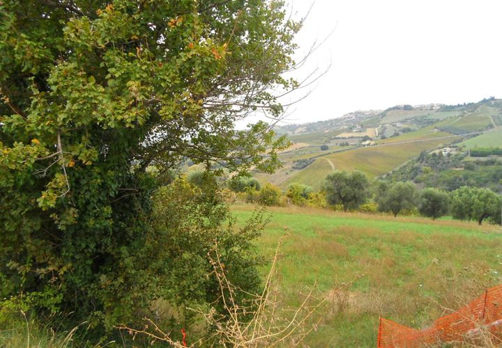 Terra a Monteprandone, Ascoli Piceno, Monteprandone - € 120.000 | Ref: ter672 - foto 1