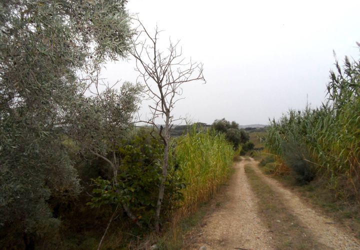 Tomt i Monteprandone, Ascoli Piceno, Monteprandone - € 500 000 | Ref: ter673 - foto 1