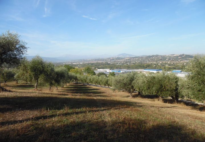 Helårsgrund i Controguerra, Teramo, Controguerra - € 100.000 | Ref: ter79 - foto 1