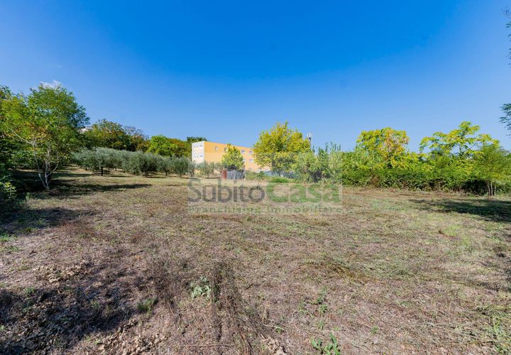Tomt i Cepagatti, Pescara, Cepagatti - € 18 000 | Ref: D 293 - foto 1