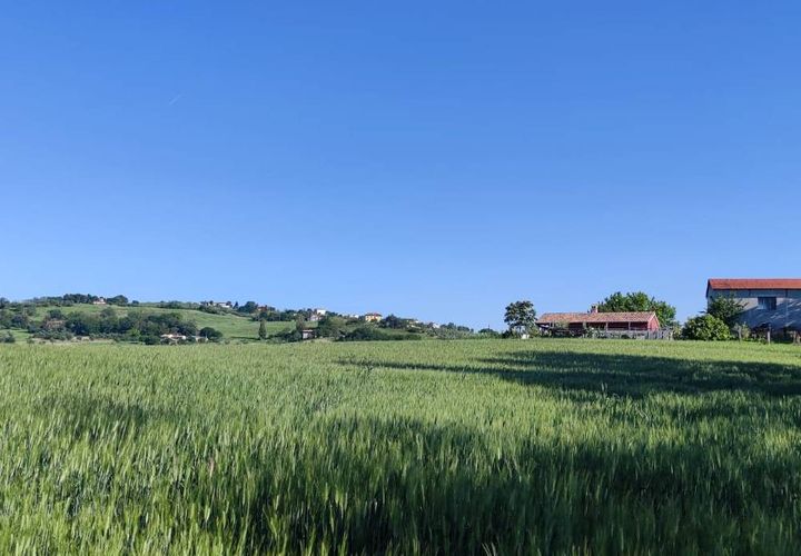 Terra a Serra de' Conti, Ancona, Serra de' Conti - € 85.000 | Ref: TA82 - foto 1