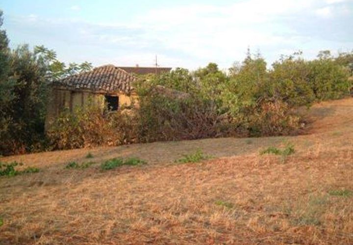 Helårsgrund i Controguerra, Teramo, Controguerra - € 65.000 | Ref: 097/T - foto 1