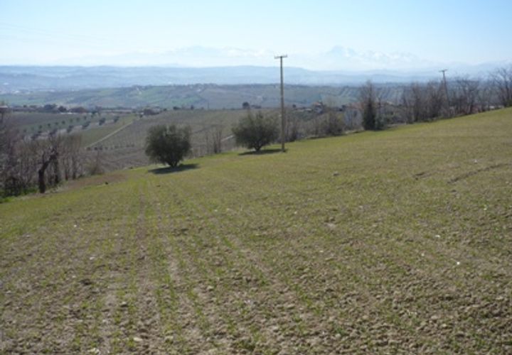 Helårsgrund i Colonnella, Teramo, Colonnella - € 180.000 | Ref: 0577/TE - foto 1