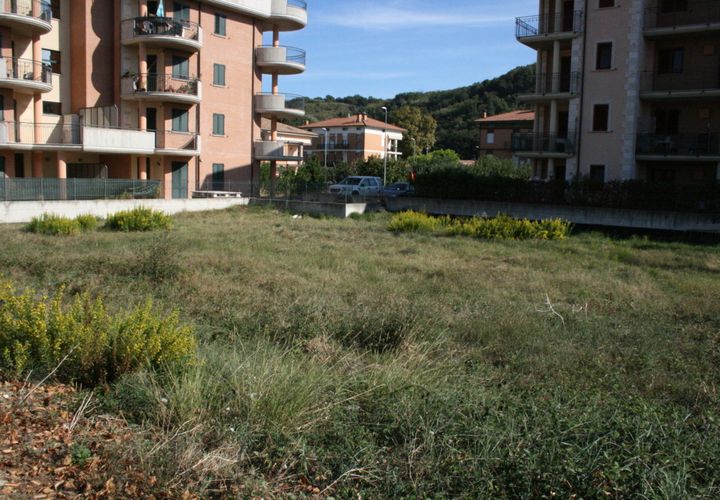 Terra a Pedaso, Fermo, Pedaso - € 95.000 | Ref: 1250 - foto 1