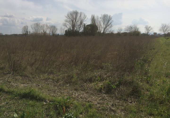 Helårsgrund i Cascina, Pisa, Cascina - € 15.000 | Ref: pi2020483 - foto 1
